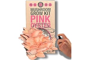 Smart Mushrooms Growing kit Pink Oyster XL - Harvest in 14 Days - Growth Guaranteed - Ideal Mushroom Gifts Foodie/Gardening Fun, Easy & Delicious | Grow Your Own Oyster Mushrooms - Grow Your Own