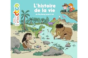 L'histoire de la vie, du big-bang jusqu'à toi