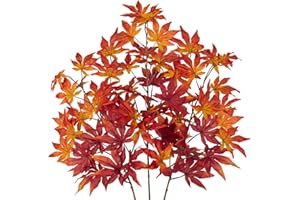 ‎ARBORUS Arborus 3 Stück Künstliche Zweige 76 cm Künstliche Ahornzweige Herbst Deko Dekozweige Künstliche Ahornblätter Kunstzweige Kunstpflanze Zweige für Äste und Zweige Deko Vase Deko Zimmer Deko Tisch Deko