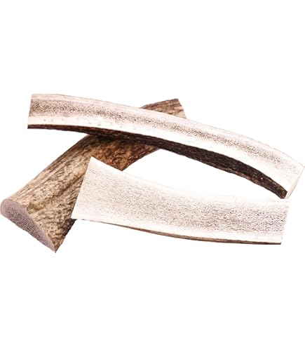 Kauwbotten met kaas van MERVELA voor zeer grote honden [180 g per stok] - Handgemaakte hondenbotten - Heerlijke kaassmaak - 100% natuurlijk en suikervrij - Optimale gebitsverzorging (3 stukken