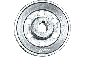 RIBIMEX Riemenscheibe Diam 100 Achse 19 mm.