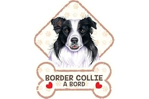 power gift Border Collie - Panneau pour Pare-Brise avec Ventouse – Mon Chien est à Bord. Plaque signalétique pour Tous Type véhicule. Chien à Bord, en Ballade, on Tour.