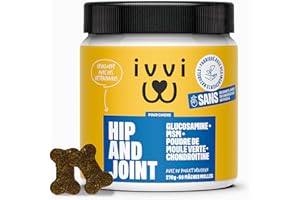 ivvi - Hip and Joint - Articulations, Anti-Arthrose - Complément Alimentaire pour Chien, Hautement Concentré - MSM, Moule à Lèvres Vertes, Glucosamine - 60 Friandises au Poulet, 270g