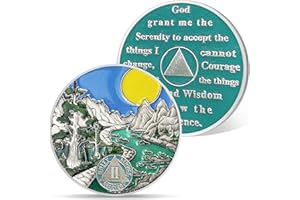 AtSKnSK Moneda de sobriedad de 1 a 10 años con regalos de sobriedad del río forestal para mujeres y hombres, chips AA y medallones, regalo de recuperación de alcohólicos anónimos (2 años)