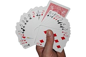 PROTRIXX Bicycle Invisible Deck Zaubertrick | Unsichtbares Kartenspiel mit deutschsprachiger Anleitung | Verblüffendes Imaginäres Kartendeck | Mental-Magie für Anfänger und Profis.