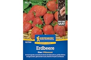 Kiepenkerl Profi-Line Erdbeersamen Elan 1027560 - immertragend - aromatische Sorte - dekorative & große Blüten - Pillensaat, Erdbeerpflanze, Früchte