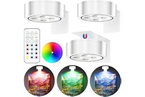 PANGTON VILLA 3 Pezzi Luce per Quadri Magnetiche, 13 Modalità di Colore RGB Lampada a Parete con Batterie Wireless LED, con Telecomando Luce per Quadri, per Display artistici, Cornici, Ritratti - Bianco RGB