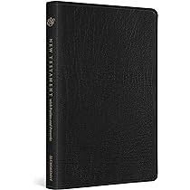 洋書 ESV large print compact buffalo leather ESV Large Print Compact Bible, Red Letter (Buffalo Leather, Deep