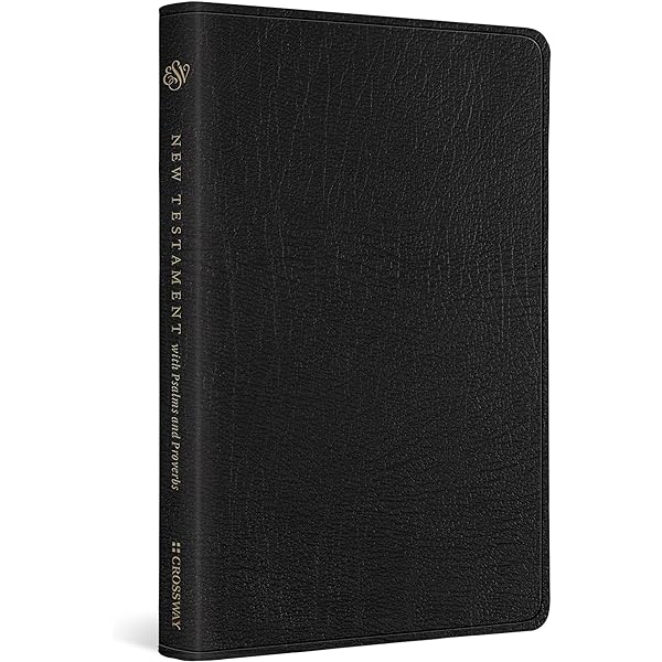 ESV Verse-by-Verse Reference Bible (Top Grain Leather, Black