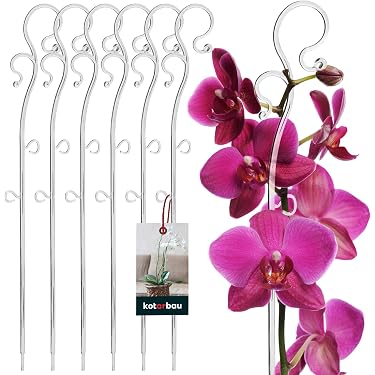 6 Stück Pflanzenstützstäbe (61 Cm) Mit Clips & Bindern – 0,5 Cm Dick, Grün Beschichtet | Für Blumen & Rankende Pflanzen