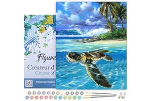 Figured'Art Peinture par Numéro Adulte avec Cadre Tortue détendue - Activité Manuelle Kit de Loisir Créatif DIY Numéro d'Art Complet - 40x50cm toile tendue sur châssis