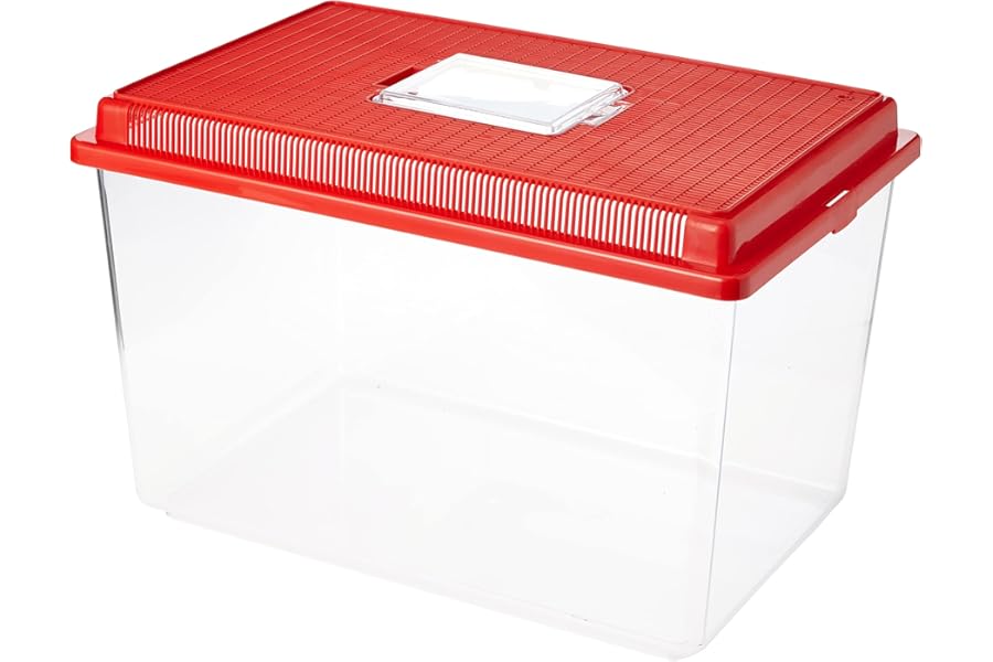 Ferplast Plastic Container for Small Animals GEO EXTRA LARGE Aquarium Tank 11 L for Fishes Terrarium Turtles Insects, Sturdy Plastic, Ventilation Grills, 35,6 x 23,4 x h 22,8 cm Red