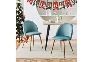 CLIPOP Dining Chairs Set of 2 Velvet Lounge Kitchen Chairs with Backrest and Sturdy Metal Legs Living Room Leisure Chairs for Home Kitchen,Office and Restaurant Furniture