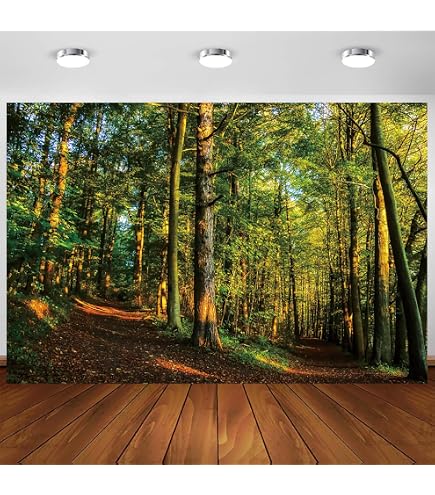Avezano Fotohintergrund Herbstlandschaft – Gefallene Ahornblätter, Waldweg (3x2.4m)