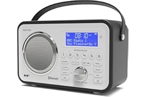 DAB/DAB+ & FM Portable Digital Radio | Leather Design | Bluetooth | Rechargeable Battery | Dual Alarms & Sleep Timer | Perfect for Home, Office or Outdoors | AZATOM Spitalfields 2 (Black)