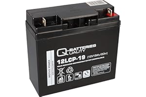 WSB 12V 19Ah kompatibler Akku FIAMM ECOFORCE F19-12B Ersatz Batterie wiederaufladbar