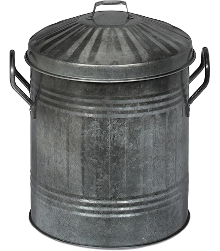 BLACK OAK Stromboli Seau à Cendres, 20 L, Noir, Avec Couvercle Et Pelle, Grand Modèle, En Acier Galvanisé Ignifuge Et Revêtu Par Pulvérisation, Pour