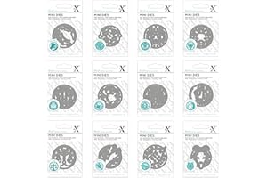 Xcut Segni zodiacali, confezione da 12 mini fustelle, collezione di segni zodiacali per realizzare biglietti, arti e mestieri