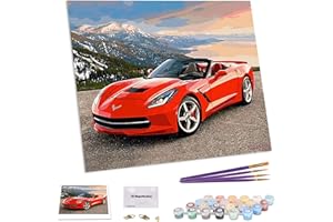 TAHEAT DIY Ölgemälde nach Zahlen Kits, DIY Acryl Malerei Kits für Erwachsene, Leinwand Ölgemälde nach Zahlen 40x50 cm - Roter Sportwagen ohne Rahmen