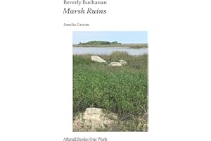 Beverly Buchanan: Marsh Ruins (Afterall Books / One Work)