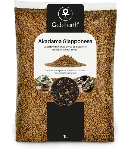 GebEarth - Terriccio Specifico per Bonsai | Substrato Professionale per  Radici pi Forti e Aerazione Ottimale 1L : Amazon.it: Giardino e  giardinaggio