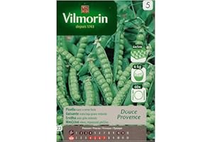 VILMORIN GUISANTE mata baja grano redondo