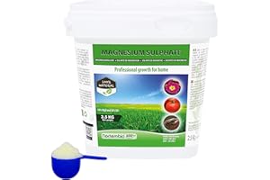 Nortembio Agro Natürliches Magnesiumsulfat 2,5 Kg. Universeller Dünger. Förderung des Wachstums der Kulturpflanzen, Gärten und Zimmerpflanzen.
