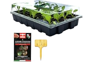 HERBARIA Semenzaio da giardino mini serra - 24 compartimenti per le vostre piantine. Set completo di 1 vassoio 1 coperchio di plastica trasparente e 1 vassoio da semina resistente da 24 vasetti l'uno