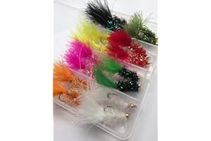 BestCity Fly Fishing Bead-Head FRITZ Lures in Fly box Size 8 &10 Pack of 16 Flies for trout fishing #307