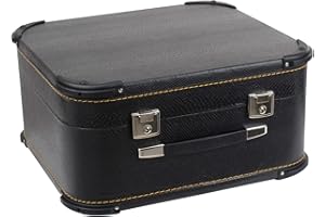 Alpenklang 48 Bass Accordion Case Deluxe