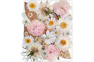 YoothBro Blanc Fleurs Sèches Pressées pour Modèles en Eésine, Fleurs Naturelles Pressées pour Art Crafts à Faire soi-même, Fabrication de Bougies, Décoration des Ongles