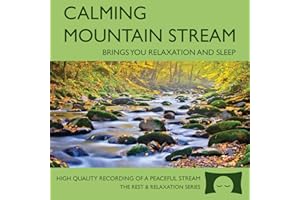Calming Mountain Stream - Babbling Brook Nature Recording - Brings You Relaxation And Sleep - Nature's Perfect White Noise -