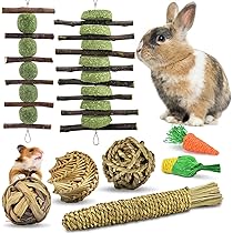 Bastoncini Di Bambù Per Conigli - Giocattoli Masticabili Per Piccoli Animali - Foto 9