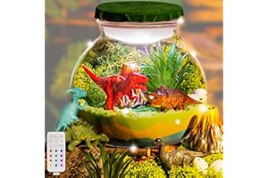 Winnrok Dinosaur Terrarium Kit, Dino Diy Night Light, Dinosaur Science Craft Kit, Birthday Gifts for Boys Kids 4 5 6 7 8-12 Year Old, Creative Toys