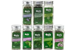 QUALITY FOOD QF SPAIN Pack d'herbes aromatiques méditerranéennes. Idéal pour cadeaux et l'usage quotidien. 8 bocaux en verre, réutilisables. Thym, origan, basilic, fenouil, romarin, menthe, persil et menthe poivrée.