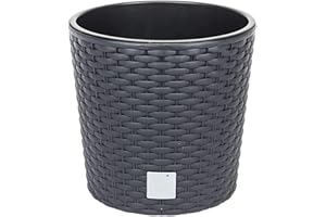 PROSPERPLAST Maceta redonda 4,7 litros Rato con cubilete para plantar en color antracita 20 x 20 x 19 cm