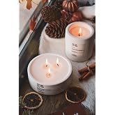 ErsuStore 2'li Beton Saksı I&ccedil;inde Lavanta Kokulu Soya Wax Mum Seti Dekoratif Hediyelik (Beyaz)