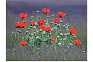 ARTland Spritzschutz Küche aus Alu für Herd Spüle 80x60 cm (BxH) Küchenrückwand mit Motiv Mohnfeld Blume Landschaft Natur Lavendel Mohnblume Rot S9AS