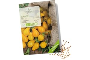 GROWGREENS Semi di pomodoro biologici (Yellow Submarine) - Semi di pomodoro da coltivare in giardino, sul balcone e sul orto rialzato