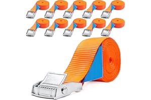 INDUSTRIE PLANET 10 x 250 kg 2 m Correa de Amarre con Hebilla Cinchas de sujeción de Carga Cierre de apriete Portabicici