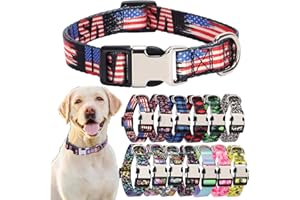 HOTLION USA obroża dla psa nylonowa trwała regulowana urocza miękka fantazyjna obroża dla szczeniaka dla małej dziewczynki chłopca zwierzęcia domowego kota kociąt czerwony niebieski rozmiar S