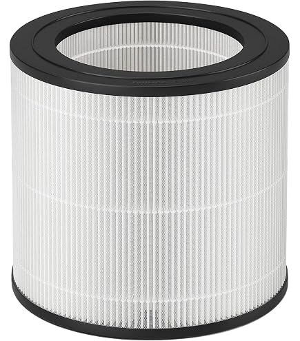 2 Filtres HEPA H13 Compatibles Purificateur OMISOON JH01 - Purification Air - Anti-poussière, Allergènes