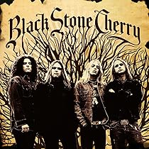 欧2LP Black Stone Cherry Folklore And Superstition MOVLP2431 Music On Vinyl, Road 未開封 /00660 Folklore And Superstition – Music On Vinyl