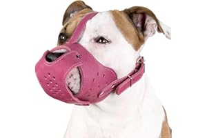 CollarDirect Muselière pour chien Pitbull Amstaff en cuir véritable Staffordshire Terrier (rose)