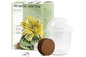 HAPPYSEED GROW2GO Kit de culture de cactus - Set de plantation de mini-serre, graines de cactus et terreau - idée cadeau durable pour les amoureux des plantes (Faucaria Tigrina)