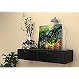 Vudy Exclusively Launched Metal Wall Shelf with Drawer for Living Room, Storage and Home Decorative Items (Black)