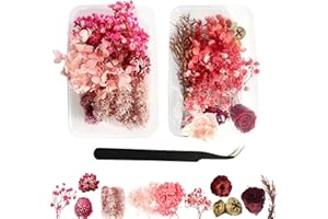 HKQP 2 Boxen Trockenblumen Natürliche Trockenblumen Deko Trockenblumen Dekoring Trockenblumen Zum Basteln Trockenblumen Frühling Schleierkraut Getrocknet Trockenblumen Klein Trockenblumen Rosa Mit Pinzette