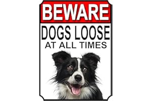 SHAWPRINT LIMITED SHAWPRINT BEWARE DOGS LOOSE AT ALL TIMES METAL SIGN BORDER COLLIE 200MM X 150MM (980H1)