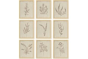 97 Decor Botanical Wall Art - Vintage Botanical Prints, Plant Art Wall Decor, Neutral Floral Wall Art Pictures, Beige Flower Poster Paintings, Flower Sketch Drawing for Bedroom (8x10 UNFRAMED)