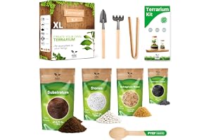 Kit Terrario Plantas DIY - Set Ekologiskt Stämningsfullt System för Växter i Bottel (2-4) - Terrarium för Evig Inomhusskog - Utan Växt (Set utan Flaska, XL)